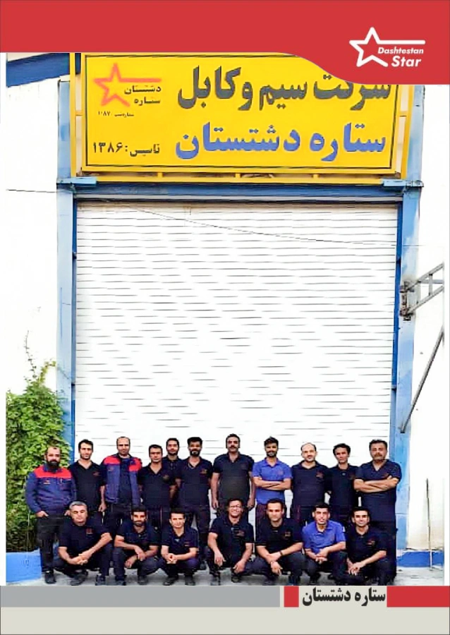 تصویر تیم سیم و کابل دشتستان